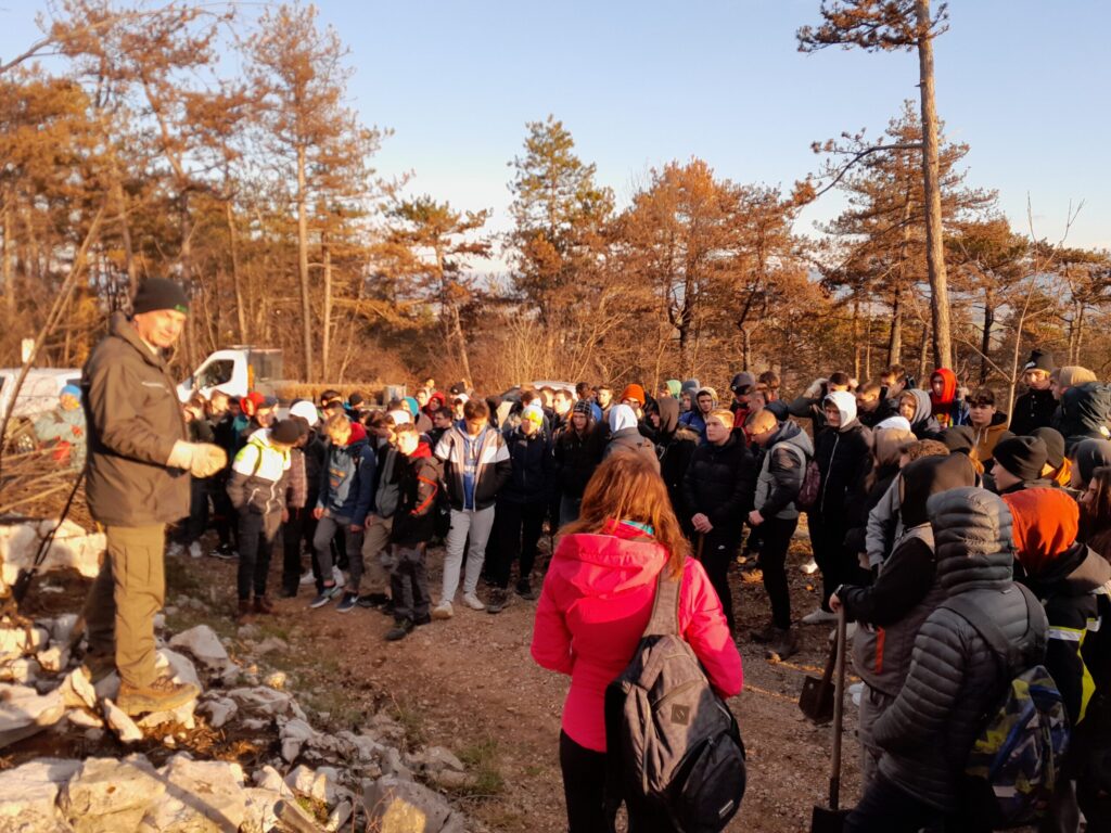 Pogozdovanje Krasa